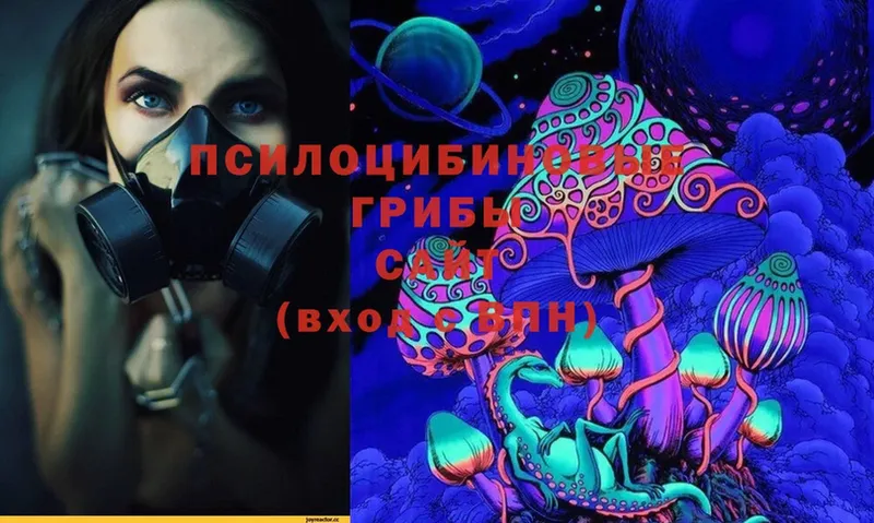 Галлюциногенные грибы Magic Shrooms  купить закладку  Новоалтайск 